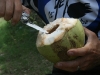 First coconut!